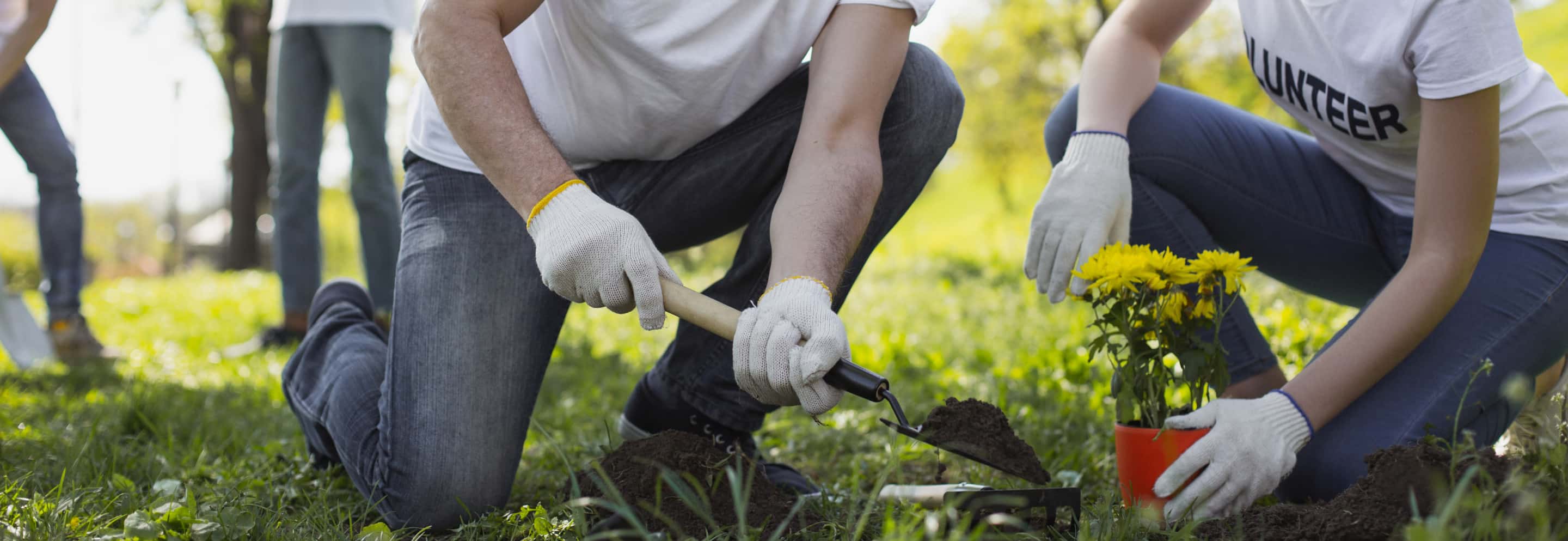 google ad grants for nonprofits